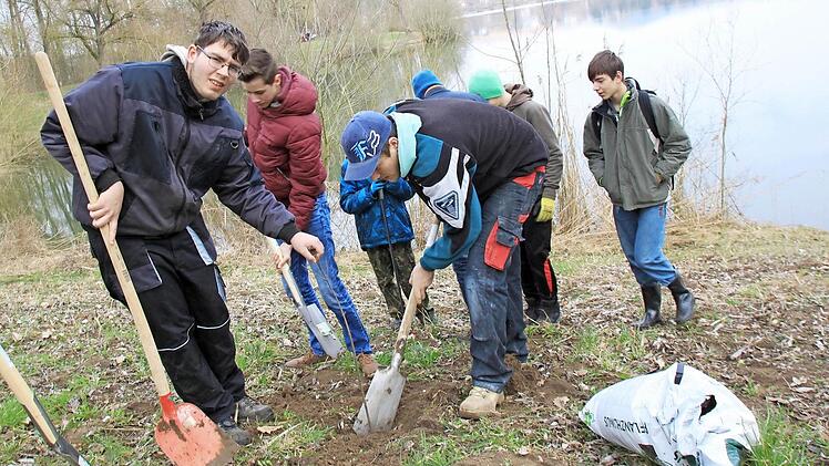 Die Jungangler beim Pflanzen der Ahorn-Bäumchen am Ufer des Riedsees unter Leitung von Steffen Lieb und Christian Schulz Foto: Matthias Einwag