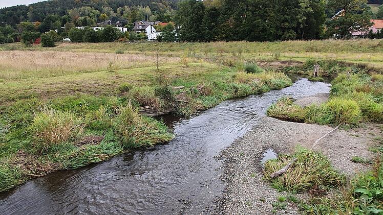 Die Flutmulde wurde aus ihrem Betonbett befreit und in eine Auenlandschaft verwandelt. Foto: Christine Fischer