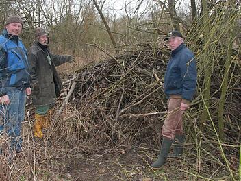 Martin Söllner, Werner Herold und Manfred Höppel an einer mächtigen Biberburg im Roßstaudengraben unweit des Michelauer Hochwasserdamms am Biberbach. Diese tierische Behausung ist etwa zehn Meter lang, vier Meter breit und 1,70 Meter hoch. Mindestens zwei Alt- und drei Jungtiere leben darin, schätzen die drei Männer. Fotos: Matthias Einwag