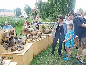 Lebendig oder ausgestopft: Die Aussteller zogen Neugierige allen Alters an.  Foto: privat