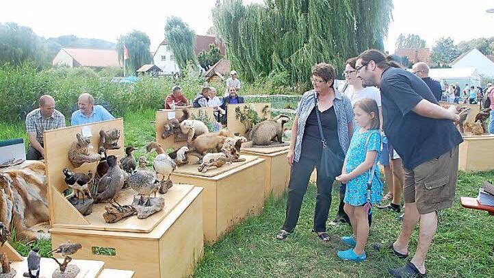 Lebendig oder ausgestopft: Die Aussteller zogen Neugierige allen Alters an.  Foto: privat