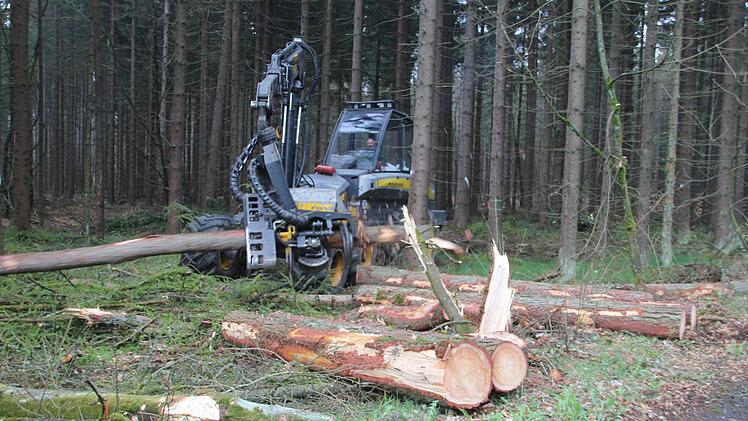Der Harvester arbeitet die Bäume auf.