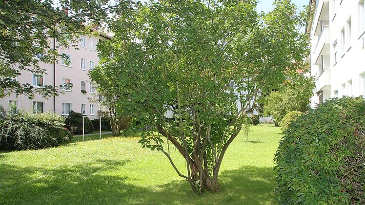 Diese Grünfläche an der Ecke Goethestraße/Lichtenfelser Straße wurde oft von Wildpinklern frequentiert.  Foto: Andreas Schmitt