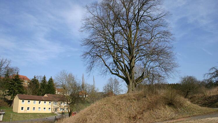 Eine Feierabendführung hat die beiden Turmhügel bei Kutzenberg (Bild) und Prächting zum Ziel, also ehemalige kleine Wohnburgen, die auch Motten genannt werden.