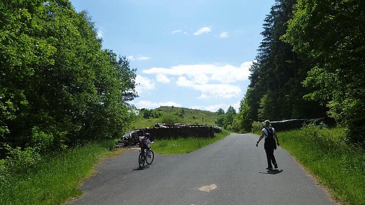 Im Katzengrund an der ehemaligen Mülldeponie nahe Garitz.
