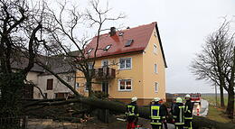 Vorschaubild