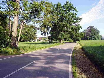 So idyllisch die Straße zwischen Neuenbürg und Großenseebach auch wirkt - wenn hier Autos unterwegs sind, kann es für Fußgänger und Radfahrer gefährlich werden. Ein Fuß- und Radweg soll Abhilfe schaffen.    Foto: Richard Sänger