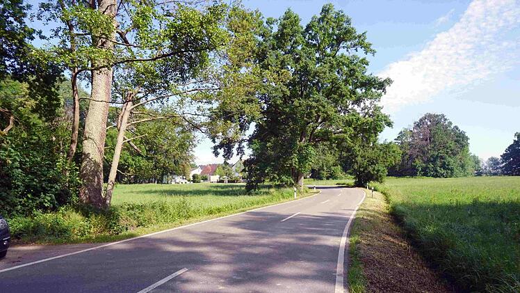 So idyllisch die Straße zwischen Neuenbürg und Großenseebach auch wirkt - wenn hier Autos unterwegs sind, kann es für Fußgänger und Radfahrer gefährlich werden. Ein Fuß- und Radweg soll Abhilfe schaffen.    Foto: Richard Sänger