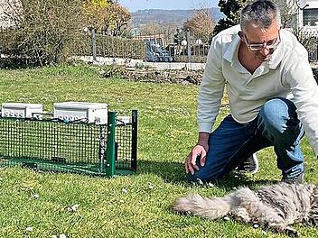 Neue Streunerfalle aus Limbach hilft beim Katzenschutz