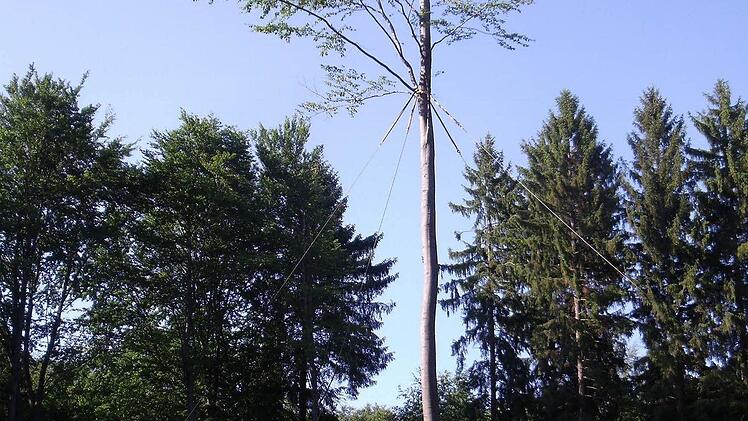 Foto: Anette Schreiber