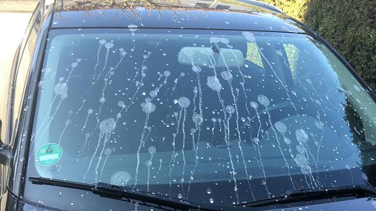 Kr&auml;hen-Alarm in NRW