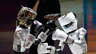 Boxen mit humanoiden Robotern in S&uuml;dkorea