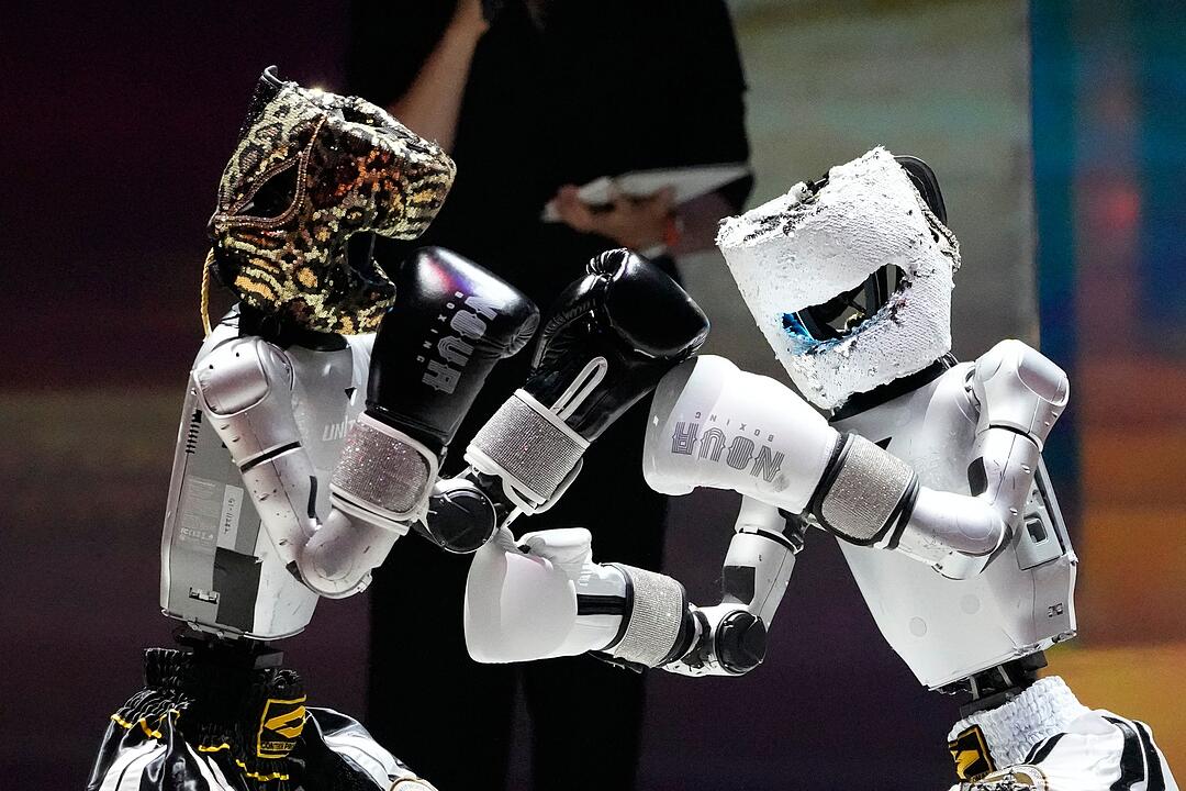 Boxen mit humanoiden Robotern in S&uuml;dkorea
