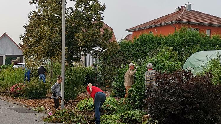 Wo es in Aura grünt und wächst sind die Freiwilligen des Obst- und Gartenbauvereins zur Stelle wie beim Ausgrasen im Ekkehardus-Weg.