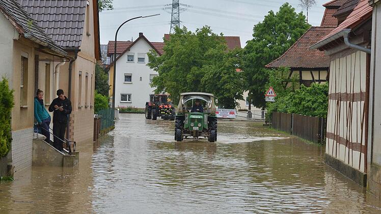 Wiesengiech. Foto:Ronald Rinklef
