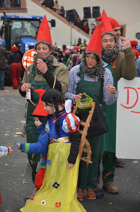 Landkreisfaschingszug 2015