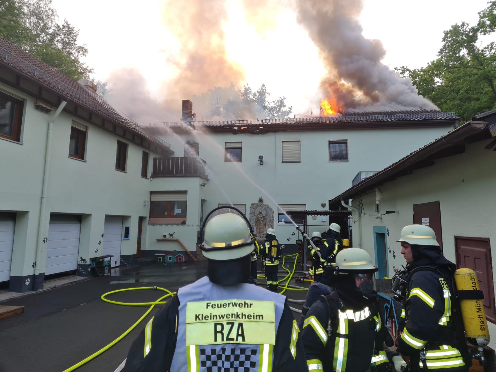tierheim munnerstadt nach horror brand landrat will keine kompromisse