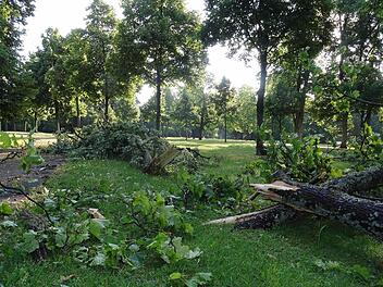 Der Hofgarten am Montag nach der Gewitternacht. Foto: Jochen Berger