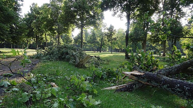 Der Hofgarten am Montag nach der Gewitternacht. Foto: Jochen Berger