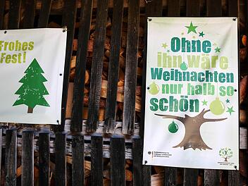 Weihnachten ist nicht mehr weit - jedenfalls für den Verband der Weihnachtsbaumerzeuger. Foto: David Ebener,dpa