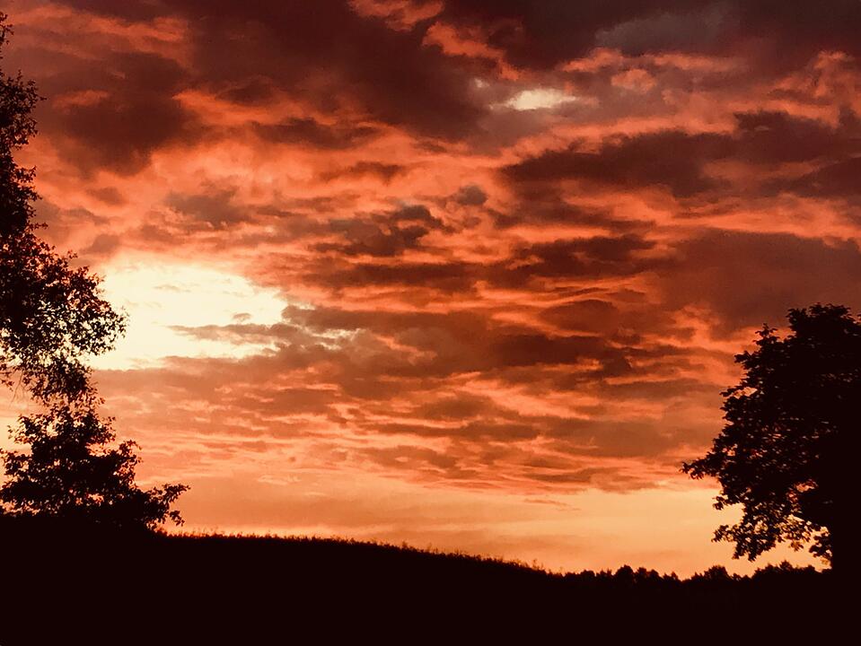 Die schönsten Fotos im Mai aus Haßfurt und Umgebung