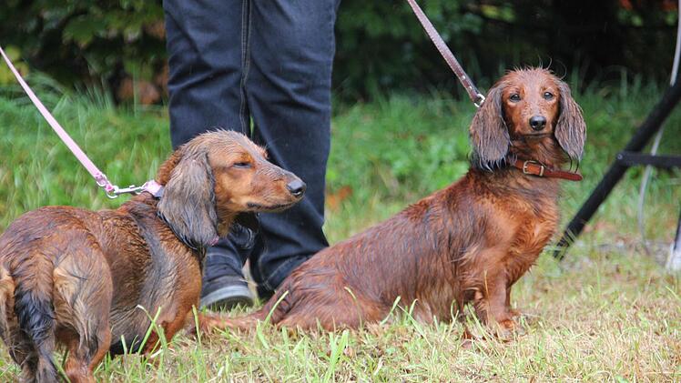 Foto: Mariell Dörrschmidt