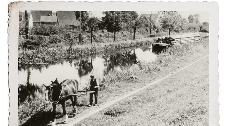 Pferde ziehen bzw. treideln ein Frachtschiff. Auf dem alten Ludwig-Donau-Main-Kanal - hier im Sommer 1944 bei Hirschaid - bis in die Nachkriegszeit ein h&auml;ufig zu sehendes Bild   Fotos: Museen Hirschaid