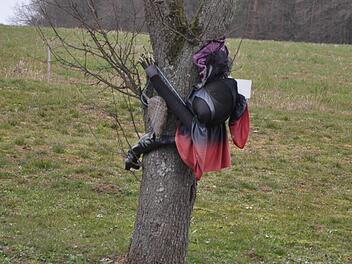 An diesem Baum bei Mittelehrenbach klebt eine Hexe. Foto: Leo Hühnlein