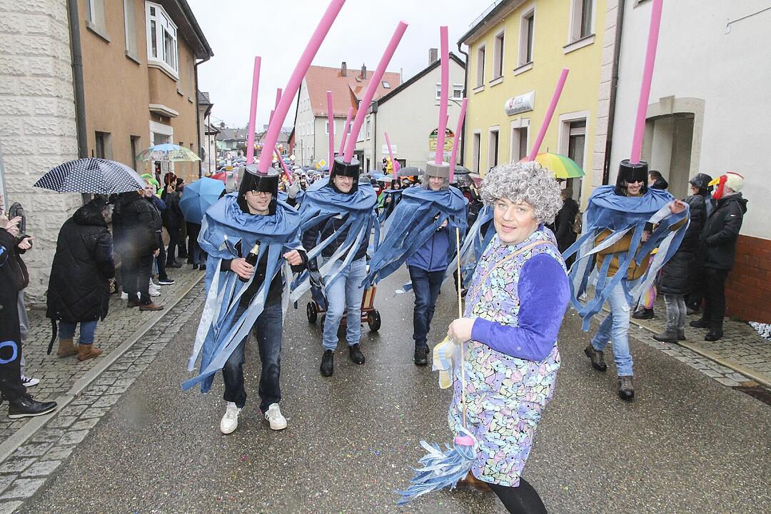 Stadtsteinacher Narrentreiben 2024