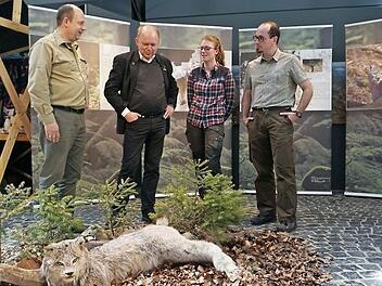 Luchsausstellung im Haus der Langen Rhön in Oberelsbach. Ausstellungseröffnung mit (von links). Michael Dohrmann, Michael Geier, Claudia Stieglbunner (Praktikantin) und Tobias Gerlach (Monitorin Biosphärenreservat).  Foto: Marion Eckert