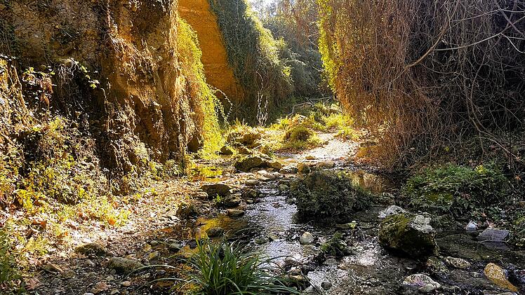 Beim Wandern durch die historische Myli-Schlucht kannst du zu bestimmten Jahreszeiten direkt im Flussbett laufen.