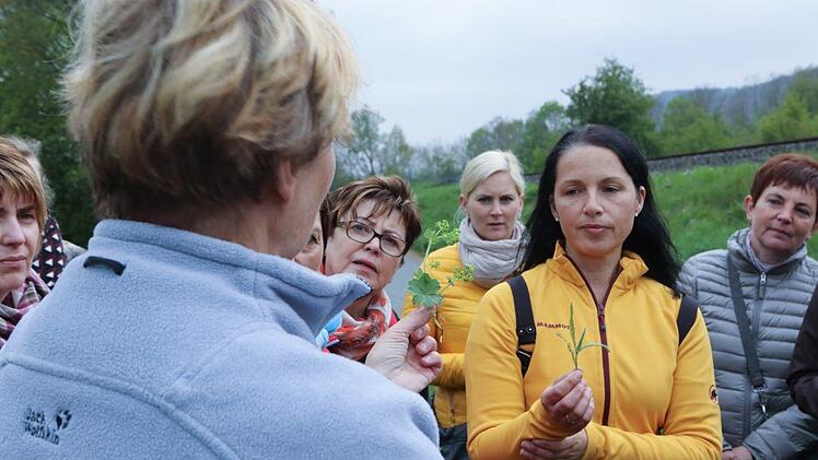 Kräuterseminar: Impressionen einer Entdeckungsreise Foto: Barbara Herbst
