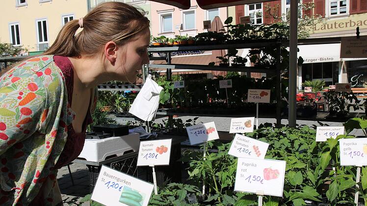 Linda Wagner ist auf der Suche nach Tomatenpflanzen.Foto: Katrin Geyer