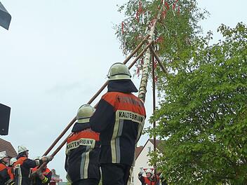 Eines der größten Maifeste im Coburger Land steigt jedes Jahr in Kaltenbrunn, wo die Feuerwehr am kommenden Montag ab 10 Uhr den großen Maibaum aufstellt. Foto: Berthold Köhler