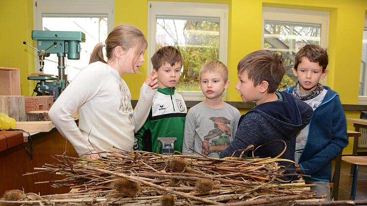Impressionen vom Nisthilfenbau in der Melkendorfer Grundschule Dagmar Besand