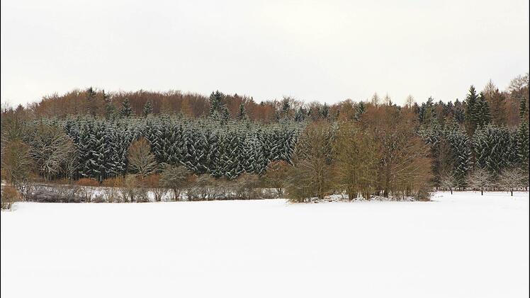 Winterlandschaft in der Fränkischen Schweiz Fotos: Tom Kern