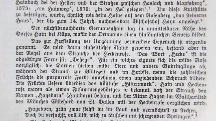 Auszug aus der Fehn-Chronik. Repro: Friedwald Schedel