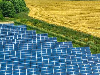 5,67 Hektar groß werden soll der geplante Solarpark zwischen Röbersdorf und Frensdorf. Foto: Symbolfoto: Dzmitry Palubiatka/adobestock.com