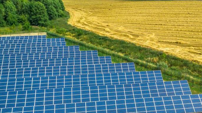 5,67 Hektar groß werden soll der geplante Solarpark zwischen Röbersdorf und Frensdorf. Foto: Symbolfoto: Dzmitry Palubiatka/adobestock.com