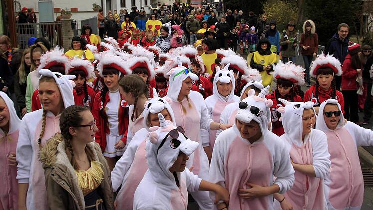 Impressionen vom Faschingsumzug der Weisendorfer Blummazupfer. Foto: Richard Sänger
