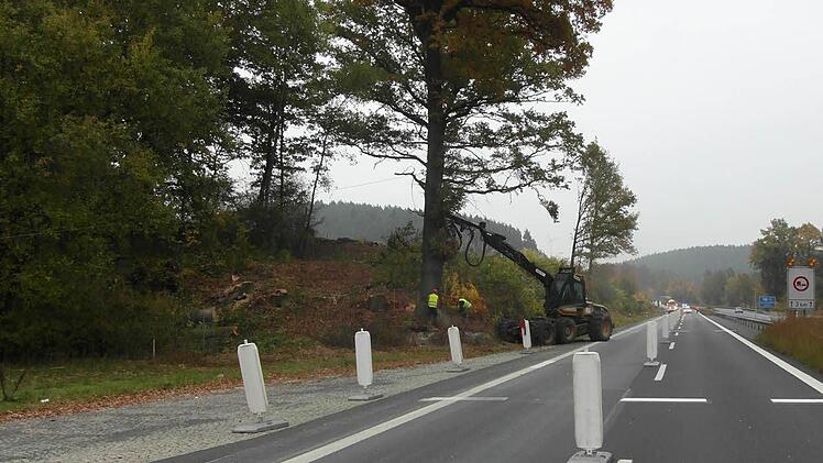 Auch eine größere Eiche musste weichen. Foto: Autobahndirektion