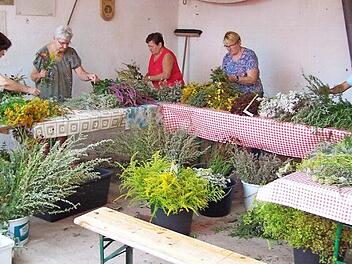 Es gab viel zu tun, doch die Zeit verflog für die Helfer des Obst- und Gartenbauvereins Zeil ganz schnell (von links): Maria Heil, Gudrun Möller, Madelinde Krumschmidt, Roswitha Pottler und Ingrid Umlauf.  Foto: pr