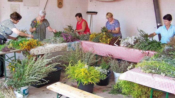 Es gab viel zu tun, doch die Zeit verflog für die Helfer des Obst- und Gartenbauvereins Zeil ganz schnell (von links): Maria Heil, Gudrun Möller, Madelinde Krumschmidt, Roswitha Pottler und Ingrid Umlauf.  Foto: pr