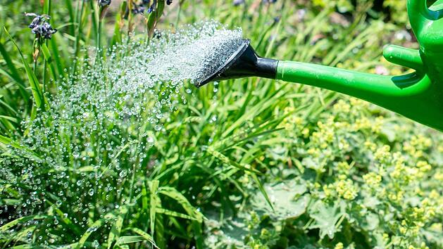 Im Finanzausschuss tobte eine hitzige Debatte, ob die Stadt G&auml;rtner aussbilden soll. Symbolbild: Hauke-Christian Dittrich/dpa