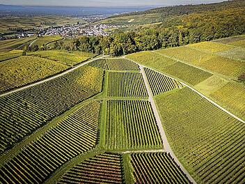Eine Landschaft, aus der Vogelperspektive ins rechte Licht gerückt, wird zur Grafik.