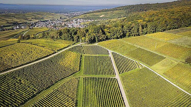 Eine Landschaft, aus der Vogelperspektive ins rechte Licht gerückt, wird zur Grafik.