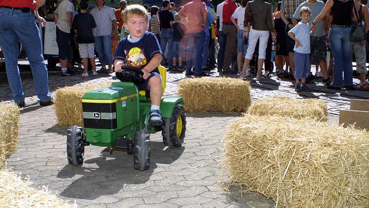 Impressionen aus 25 Jahren Family-Fun-Festival. Foto: Archiv
