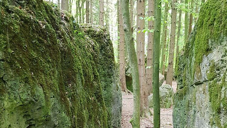Der Druidenhain Foto: Ronald Heck