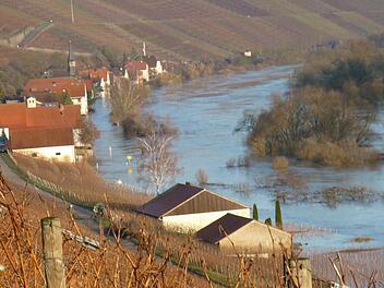 Köhler bei Hochwasser: Wo sonst die Hauptstraße verläuft, sind nur braune Fluten auszumachen. Foto: privat