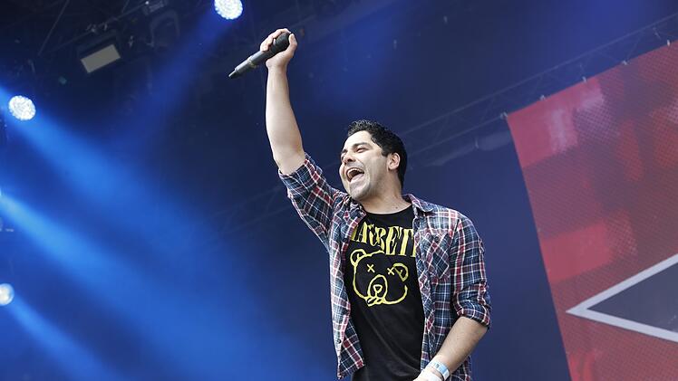 RIP15 - Zebrahead